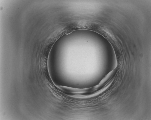 X0000087390413200704201247