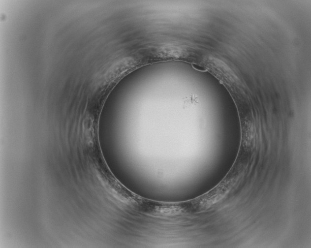 X0000087390414200704201247