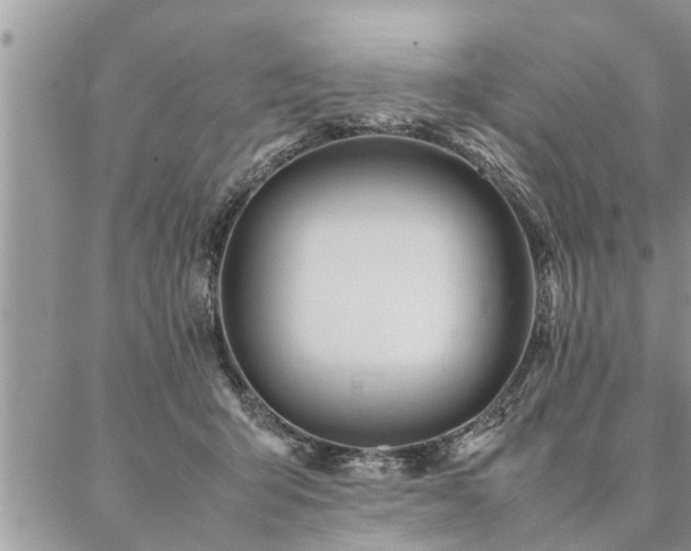 X0000087390415200704201247