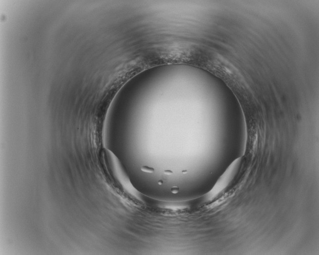 X0000087390416200704201247