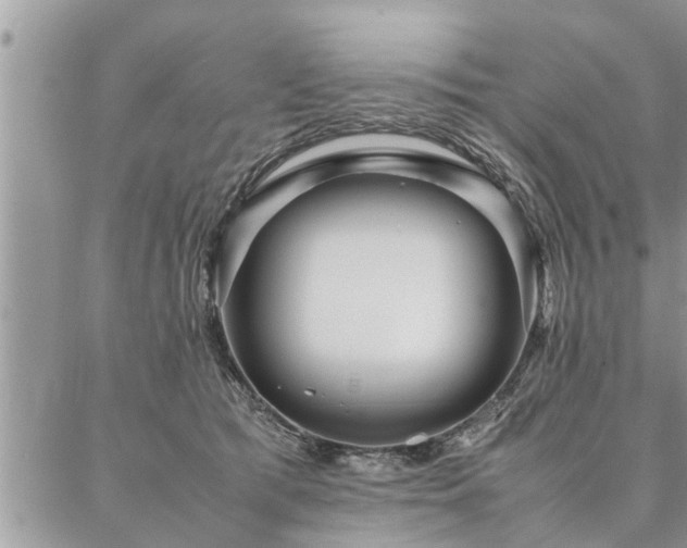 X0000087390417200704201247