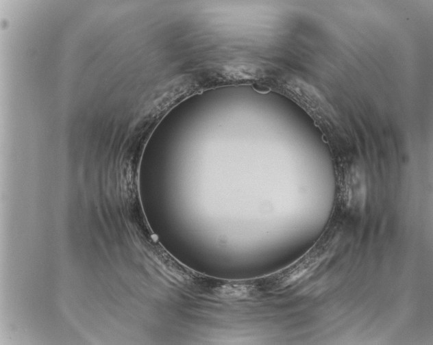 X0000087390418200704201247