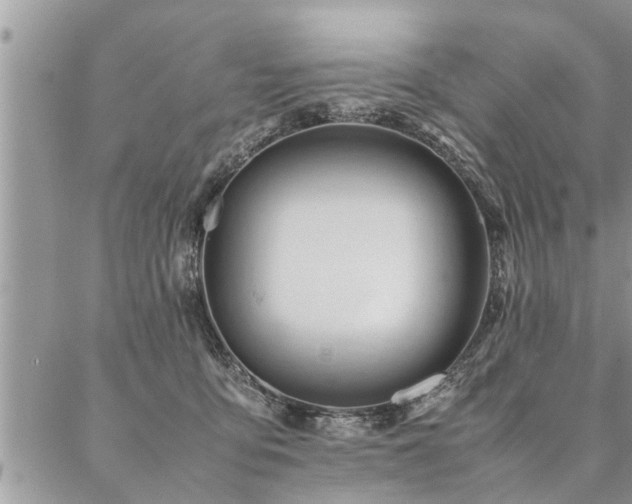 X0000087390419200704201247