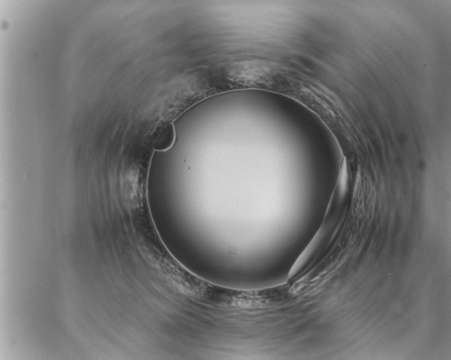 X0000087390420200704201247