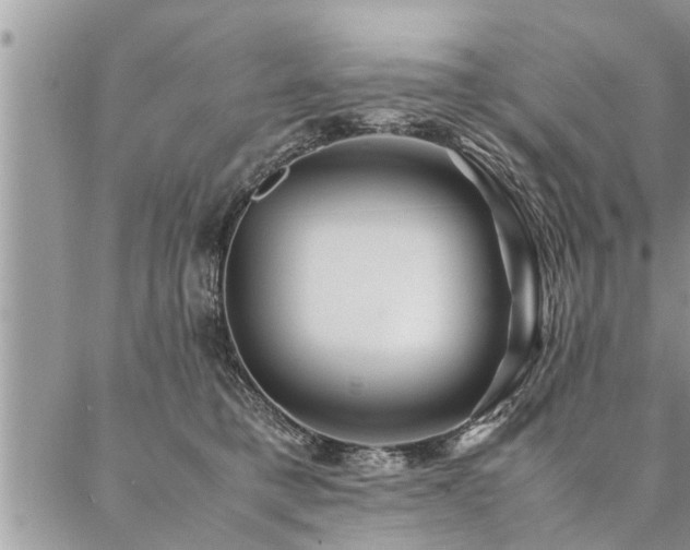 X0000087390421200704201247