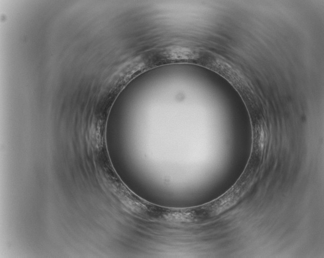 X0000087390422200704201247