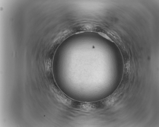 X0000087390423200704201247