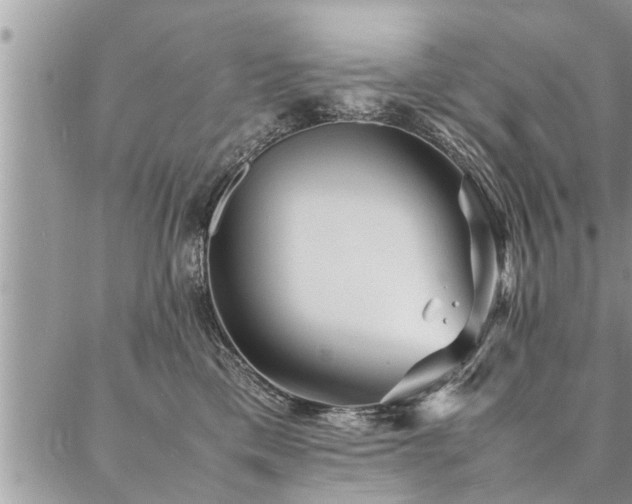 X0000087390425200704201247