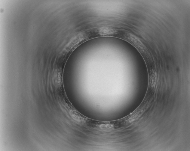 X0000087390426200704201247