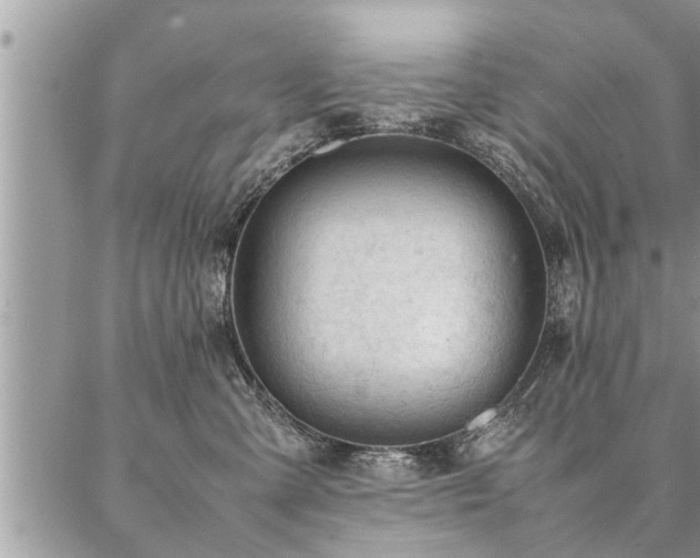 X0000087390427200704201247