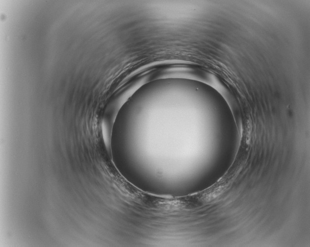 X0000087390428200704201247