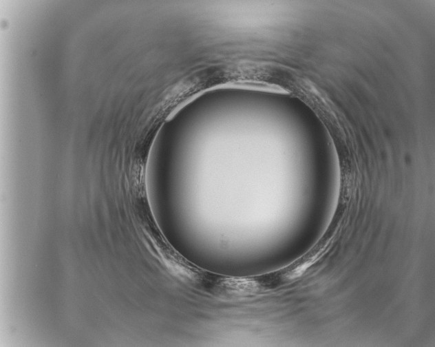 X0000087390429200704201247