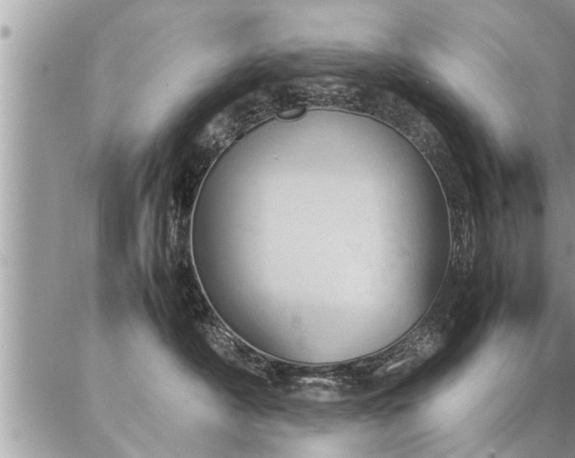 X0000087390430200704201247