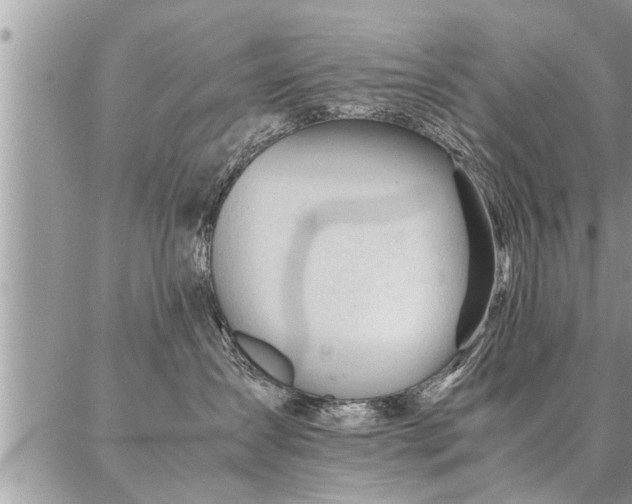 X0000087390431200704201247