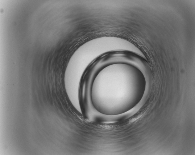 X0000087390432200704201247