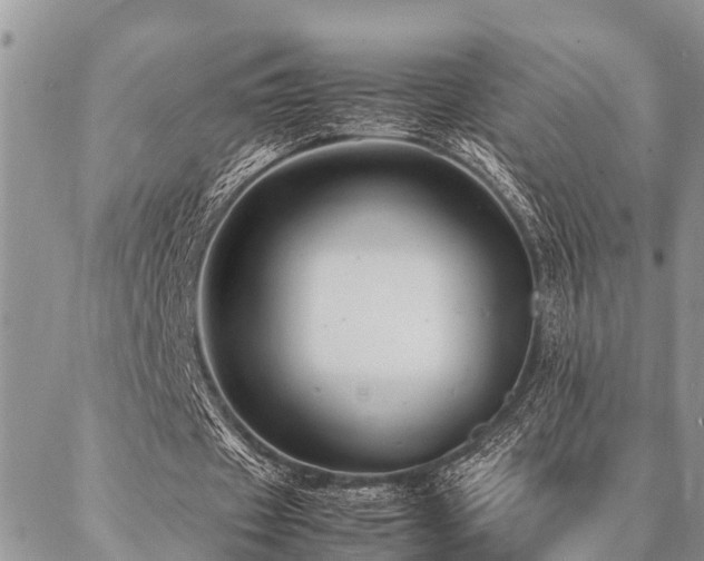 X0000087390433200704201246