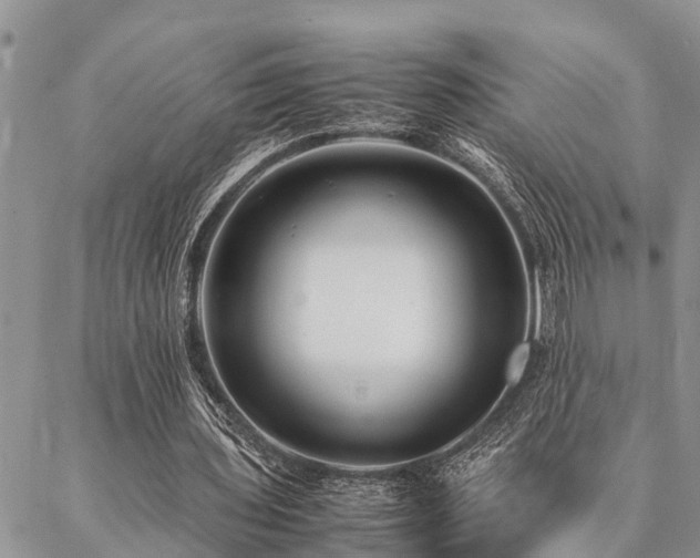 X0000087390435200704201246