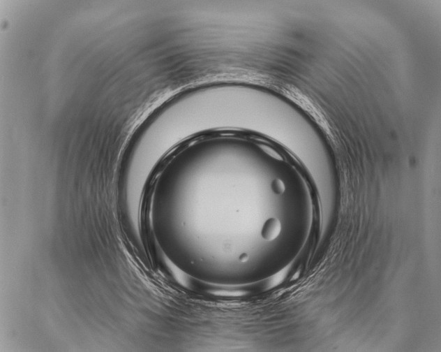 X0000087390436200704201246