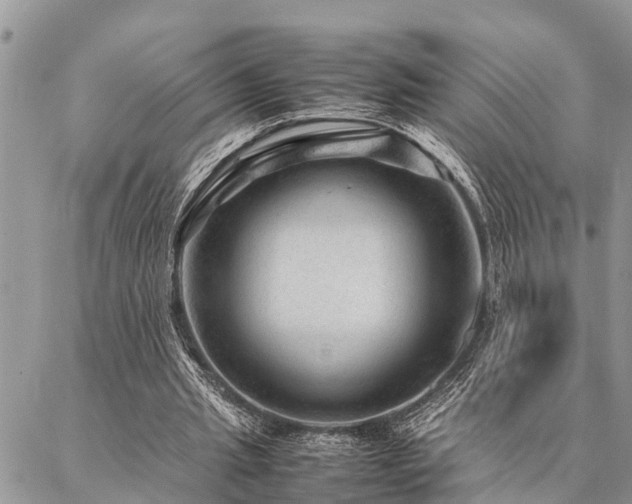 X0000087390437200704201246