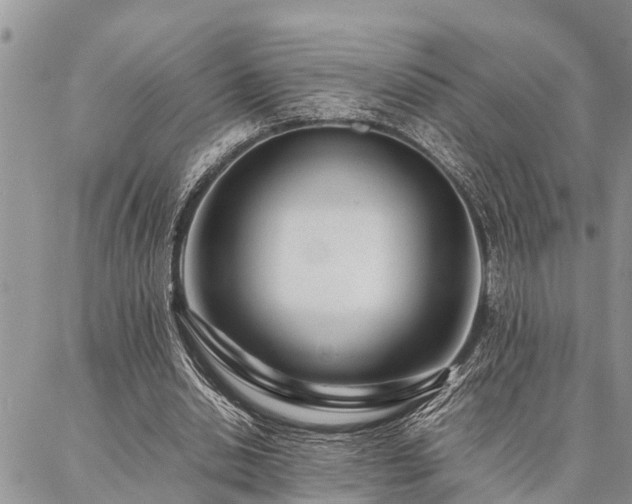 X0000087390438200704201246