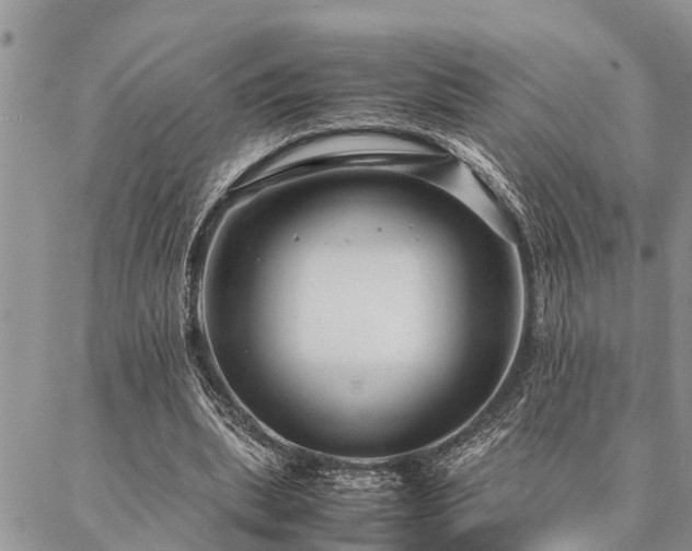 X0000087390439200704201246