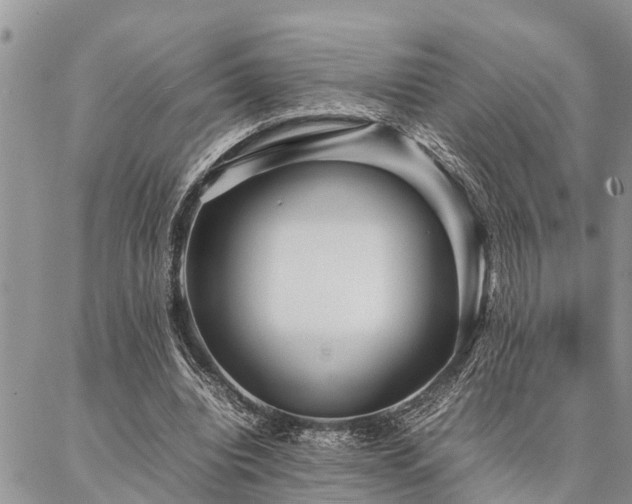 X0000087390440200704201246