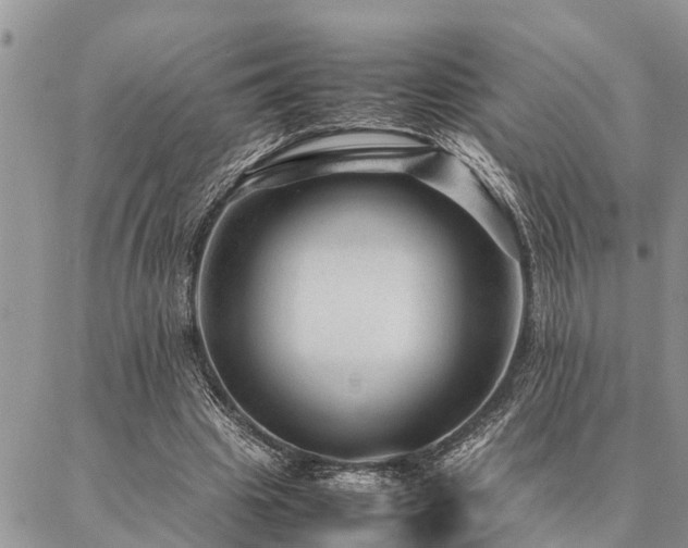 X0000087390441200704201246