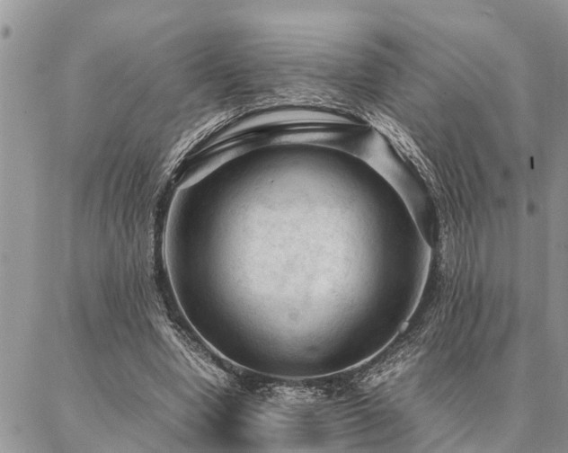 X0000087390442200704201246