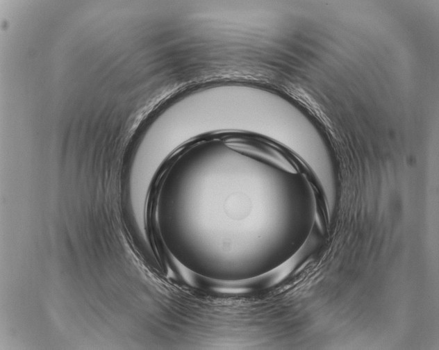 X0000087390444200704201246