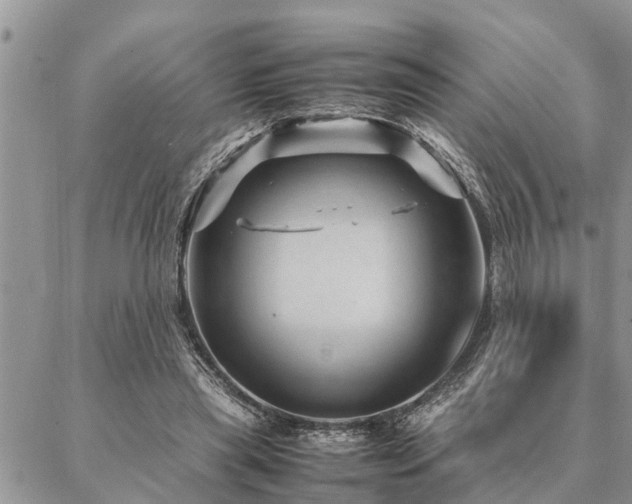 X0000087390445200704201246