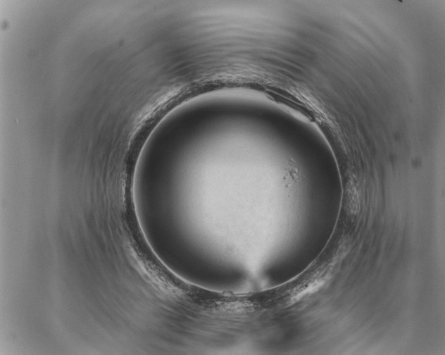 X0000087390446200704201246