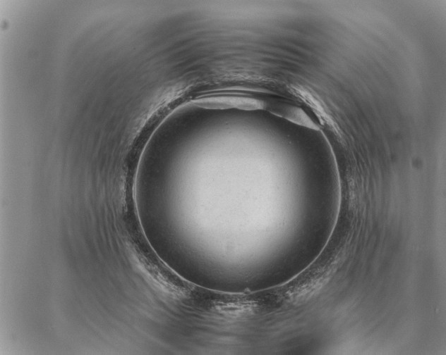 X0000087390447200704201246