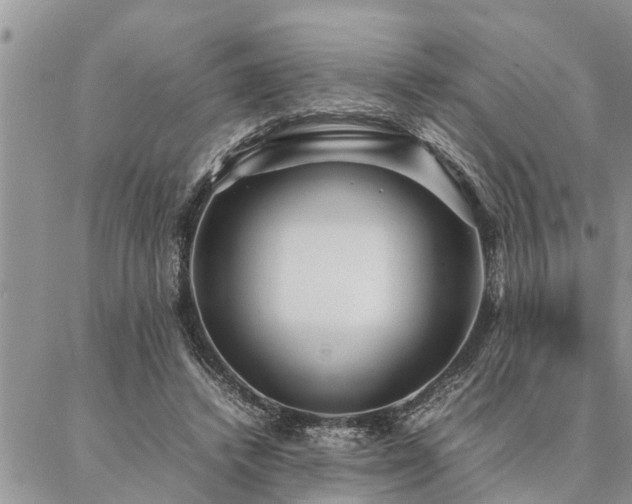 X0000087390448200704201246