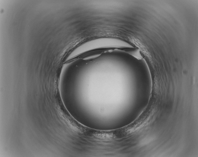 X0000087390449200704201246