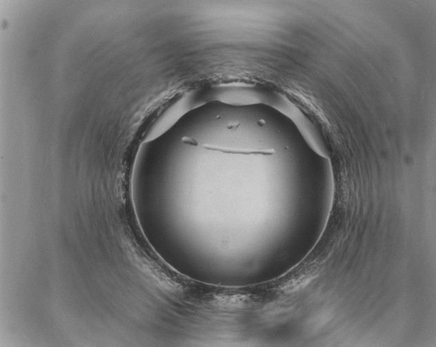 X0000087390450200704201246