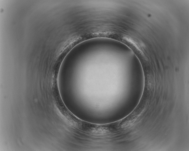 X0000087390451200704201246