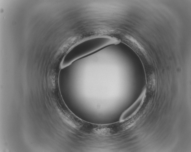 X0000087390452200704201246