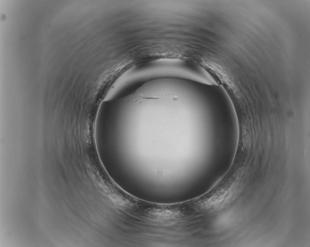 X0000087390453200704201246