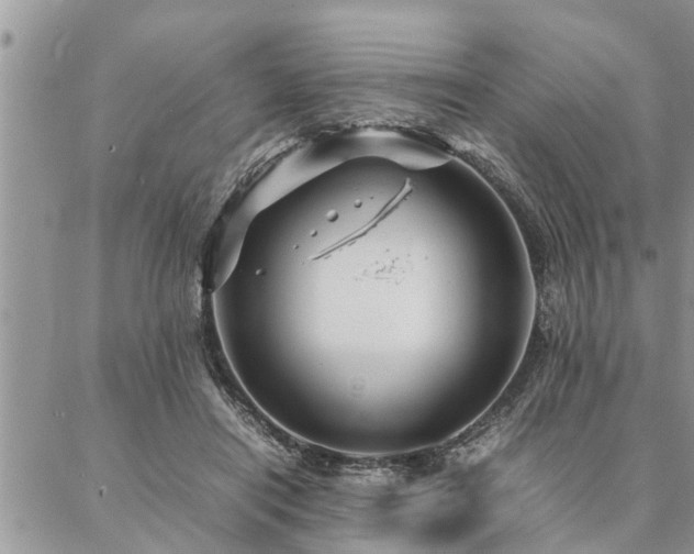 X0000087390454200704201246