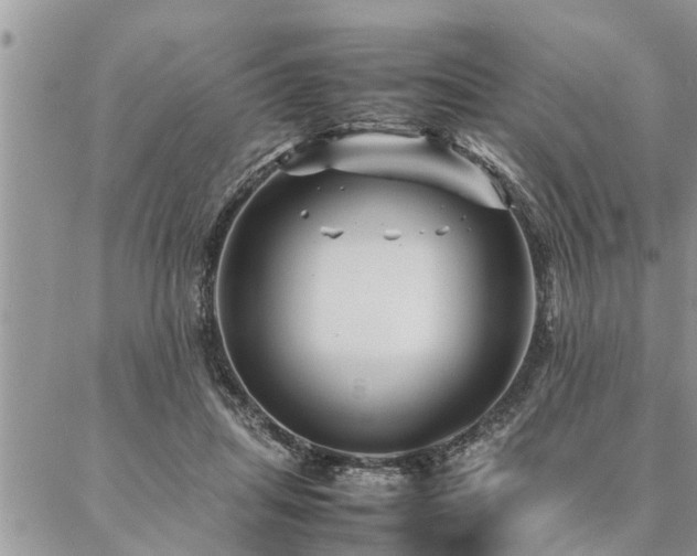 X0000087390455200704201246