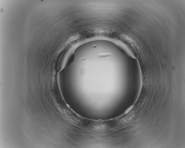 X0000087390456200704201246