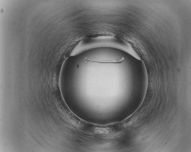 X0000087390457200704201246