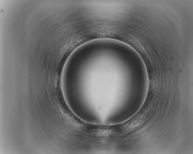 X0000087390458200704201246