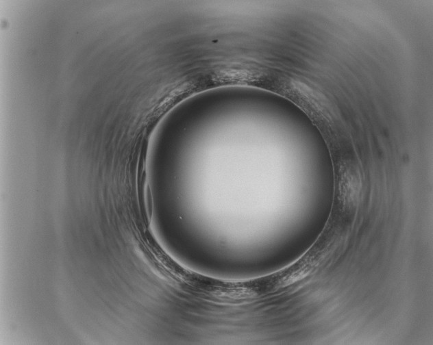 X0000087390459200704201246