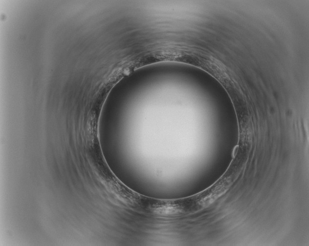 X0000087390460200704201246