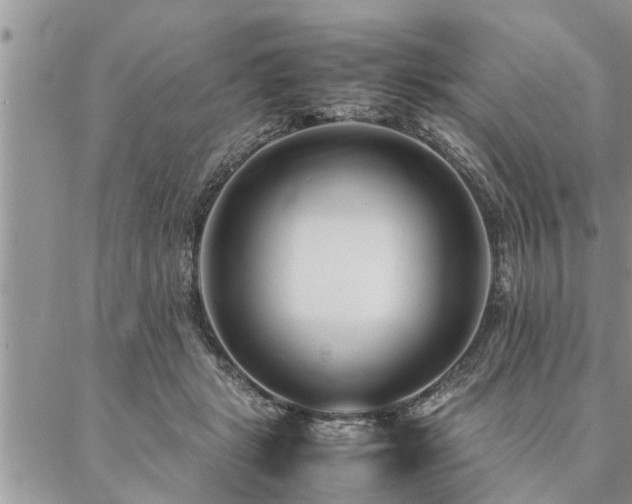 X0000087390461200704201246