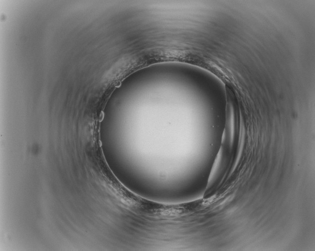 X0000087390462200704201246