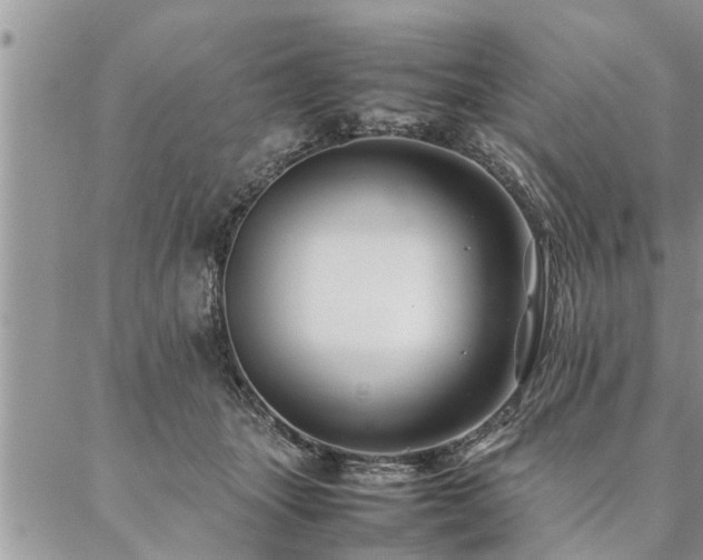 X0000087390463200704201247