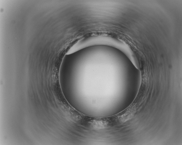 X0000087390464200704201247