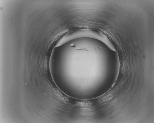 X0000087390466200704201247